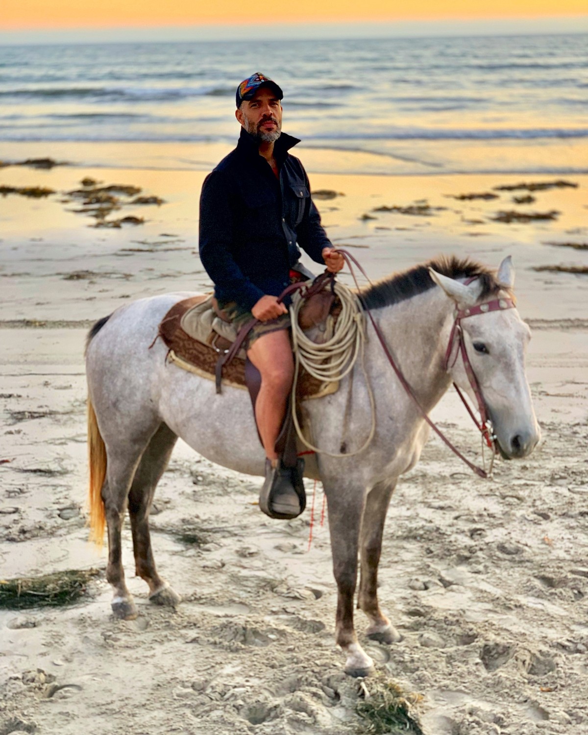 A rider on a gray horse on the beach