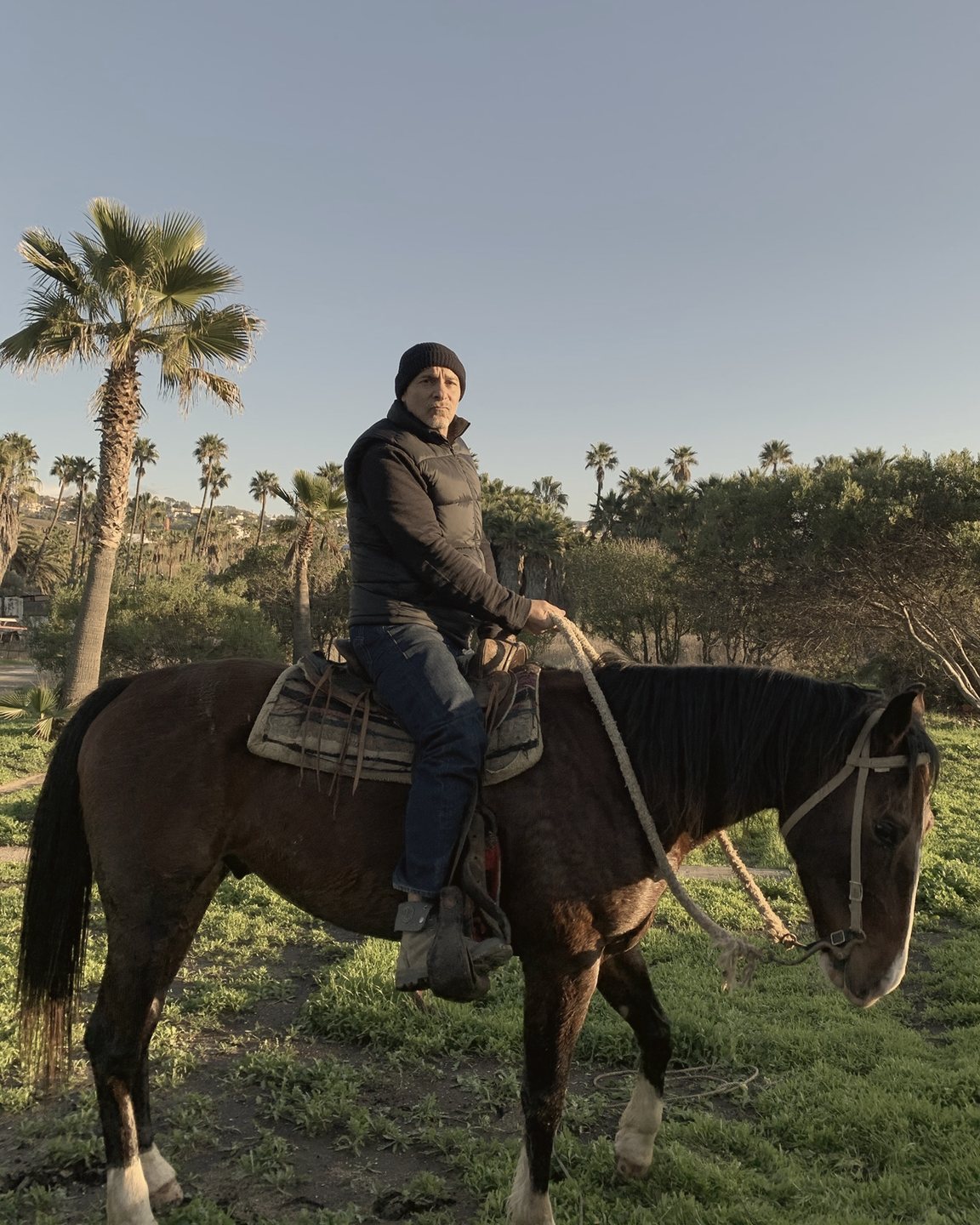 A rider in a black beanie and vest sits on a bay horse in a green field lined with palm trees.